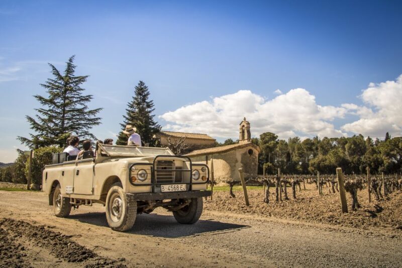 From Barcelona: Penedés Vineyards Tour by 4WD w/Wine & Cava - Final Thoughts