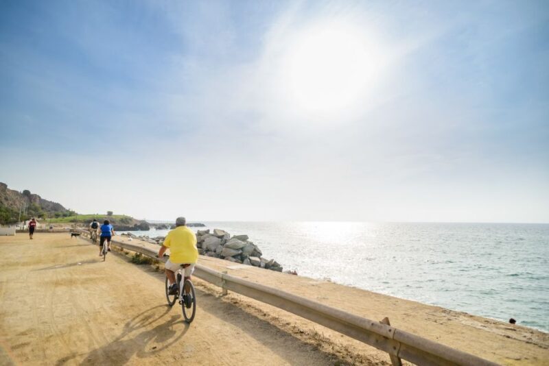 From Barcelona: Private Alella Wine Tour by Electric Bike - Key Points