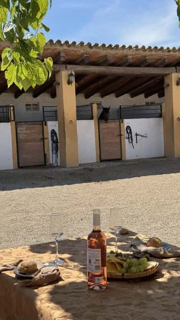 From Barcelona: PRIVATE Horseback Ride + Tapas + Picnic - Key Points