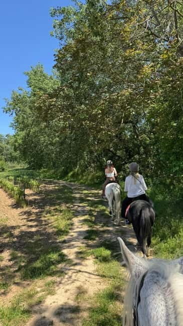 From Barcelona: PRIVATE Horseback Ride + Tapas + Picnic - Who Would Love This Tour?