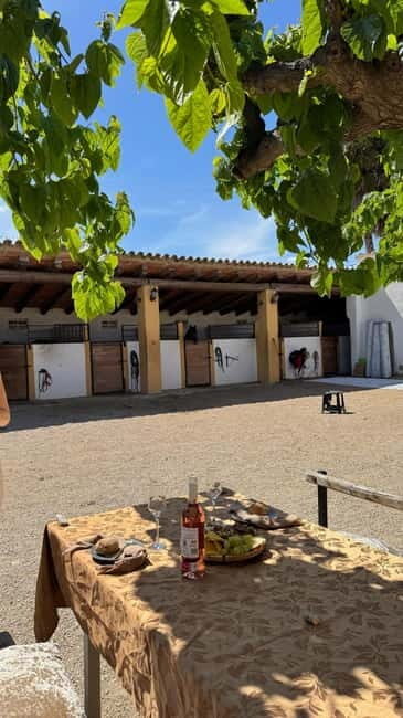 From Barcelona: PRIVATE Horseback Ride + Tapas + Picnic - Wrapping It Up