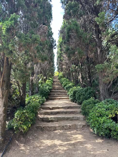 From Barcelona: Private Sunset Blanes Tour Marimurtra Garden - Final Thoughts