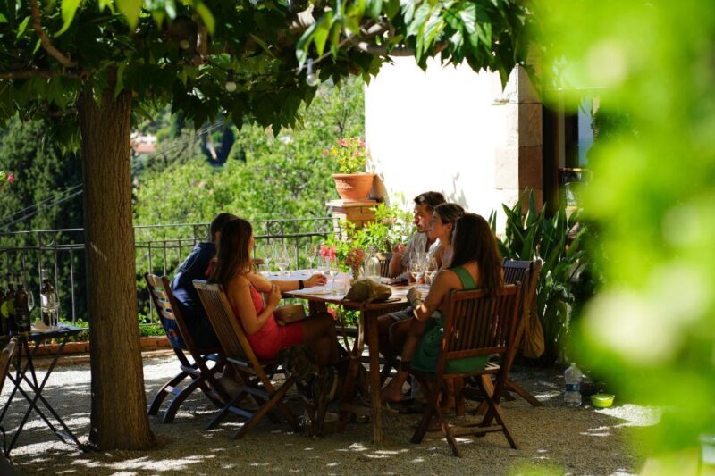 From Barcelona: Sailing and Wine Tasting Experience - The Experience: What You Can Expect