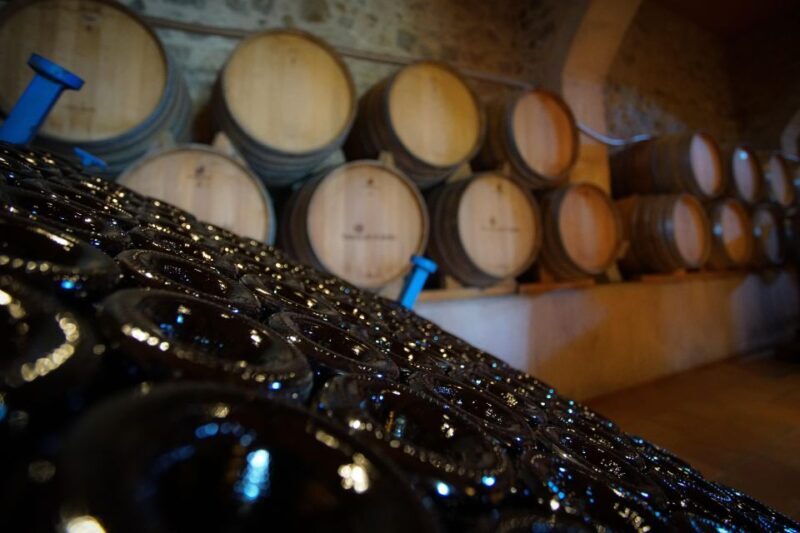 From Barcelona: Sailing and Wine Tasting Experience - What’s Missing or Could Be Better?