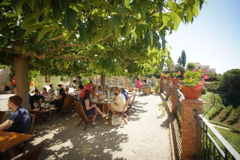 From Barcelona: Sailing and Wine Tasting Experience - Is This Tour Right for You?