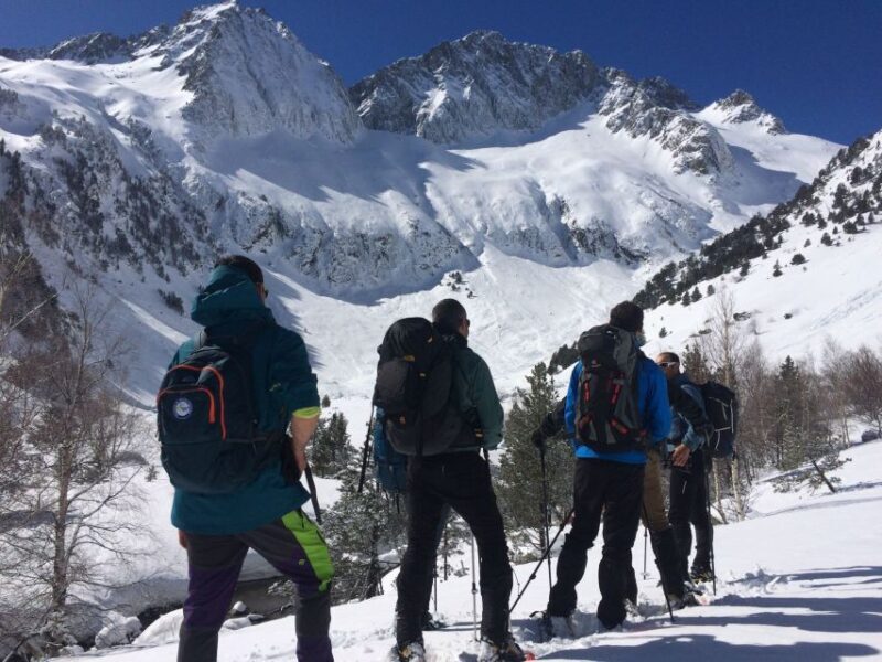 From Barcelona: Snowshoeing in the Pyrenees - Key Points