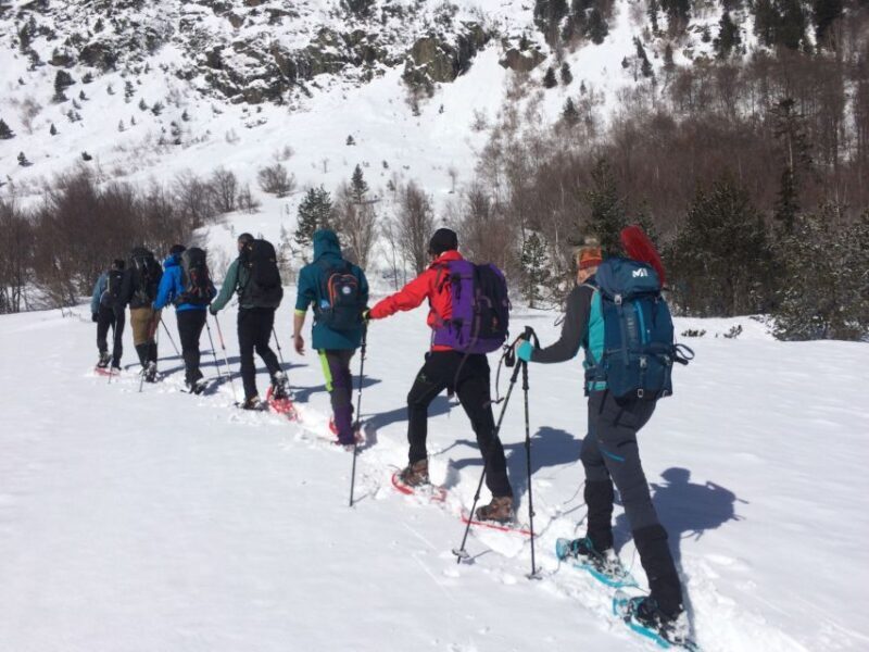 From Barcelona: Snowshoeing in the Pyrenees - Exploring the Snowshoeing Experience in the Pyrenees