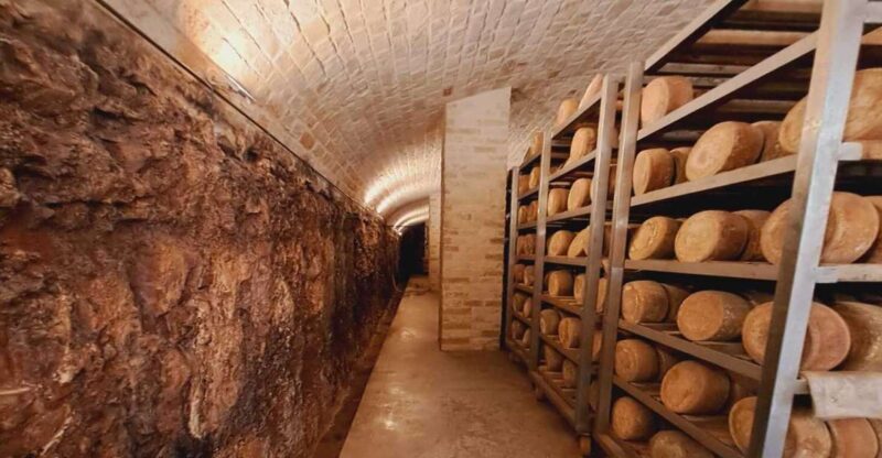 From Bari: Burrata cheese and confetti experience - Key Points: