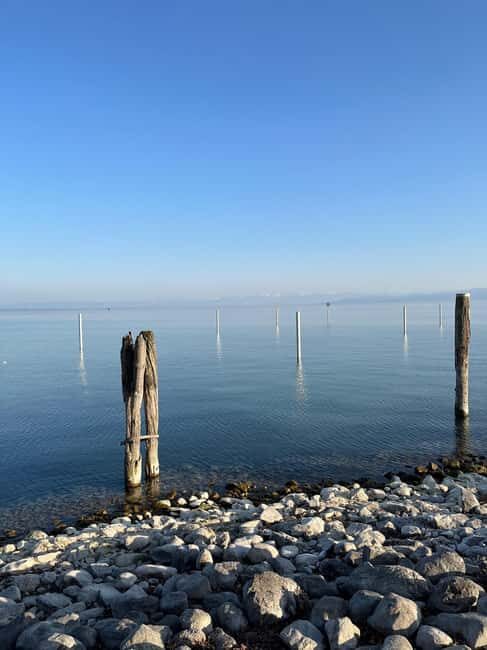 From Basel: 4 Countries and Lake Bodensee Private Car Tour - Who Will Love This Tour?