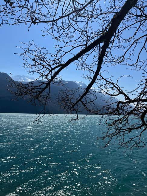 From Basel: Alps, Waterfalls and Lakes Private Car Tour - What the Reviews Say