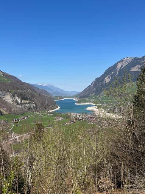 From Basel: Alps, Waterfalls and Lakes Private Car Tour - Is It Worth the Price?