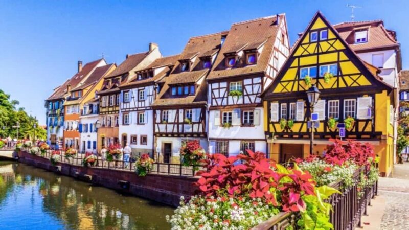 From Basel: Colmar Christmas Market & Wine Tasting Day Tour - A detailed look at what this tour offers