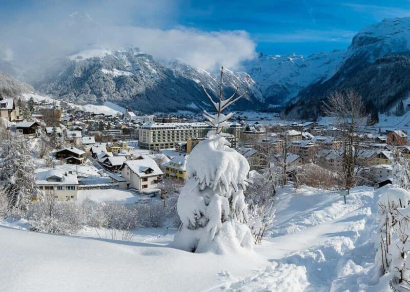 From Basel: Mount Titlis & Lucerne City in Private Day Trip - Who This Tour Is Best For