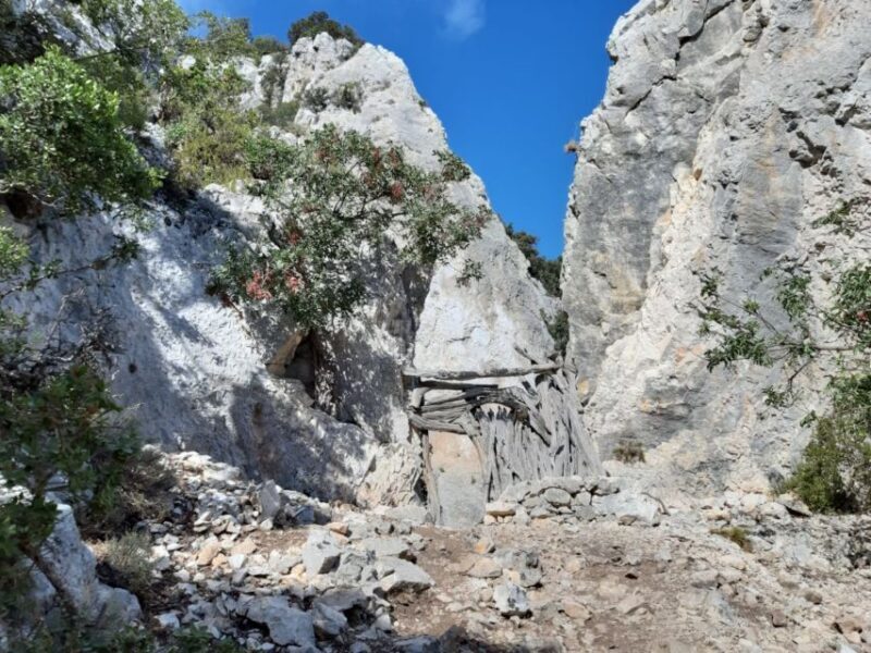 From Baunei: Cala Mariolu Hiking Tour - Key Points