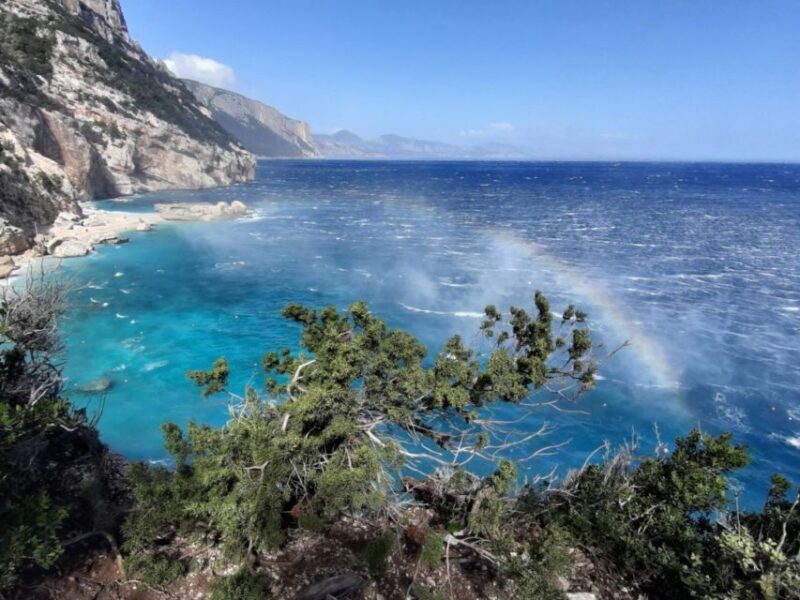 From Baunei: Cala Mariolu Hiking Tour - Final Thoughts
