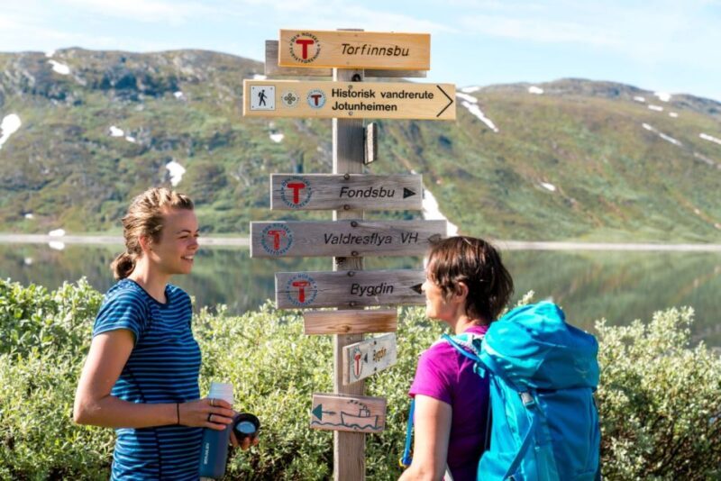 From Beitostolen: Svartdalen a Day in Jotunheimen Tour - Key Points