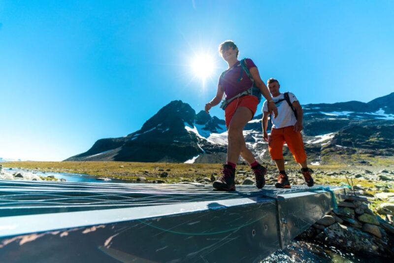 From Beitostolen: Svartdalen a Day in Jotunheimen Tour - Who Is This Tour Best For?