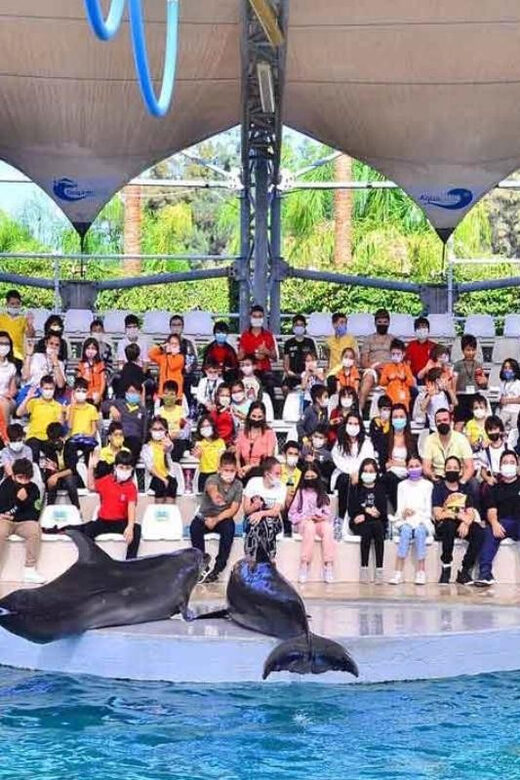 From Belek: Dolphin Show with Transfers - What Do the Reviews Say?