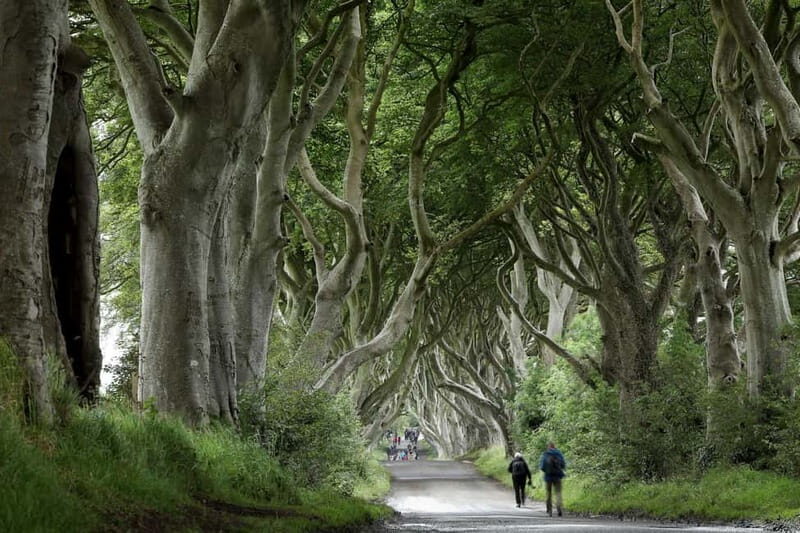 From Belfast: Giant's Causeway and Game of Thrones Tour - A Deep Dive into the Experience