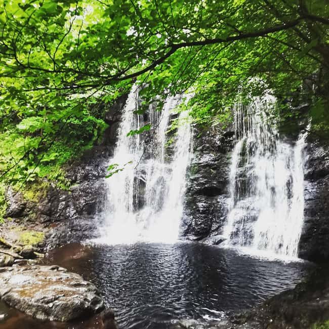 From Belfast: Private Tour of the Glens & Giants Causeway - A Detailed Look at the Private Glens & Giants Causeway Tour