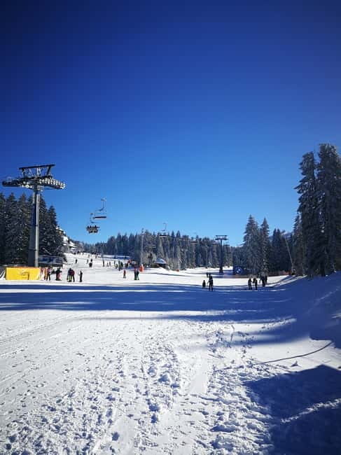 From Belgrade: Kopaonik national park & Ski resort-full day - Key Points