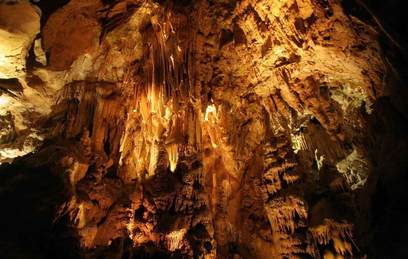 From Belgrade: Manasija Monastery and Resava Cave Tour - A Complete Look at the Tour Experience