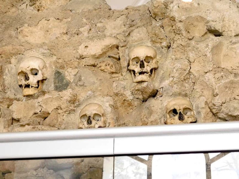 From Belgrade: Ni and Devil's Town Private Day Tour - What the Reviews Say