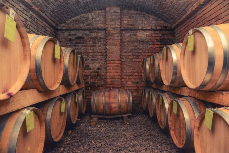 From Belgrade: Novi Sad and Sremski Karlovci Day Trip - Practicalities and Value