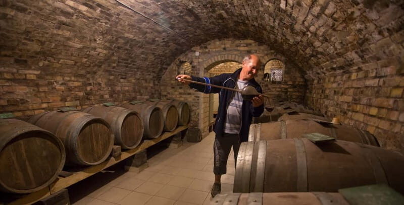 From Belgrade: Novi Sad and Sremski Karlovci Tour - Final Thoughts