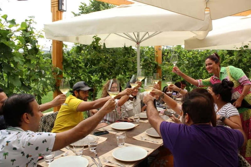 From Belgrade or Novi Sad: Private Wine Tour in Fruska Gora - Key Points