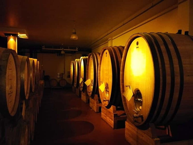 From Belgrade: Subotica and Palic Full-Day Trip with winery - Exploring Serbia: A Full-Day Journey to Subotica and Palic