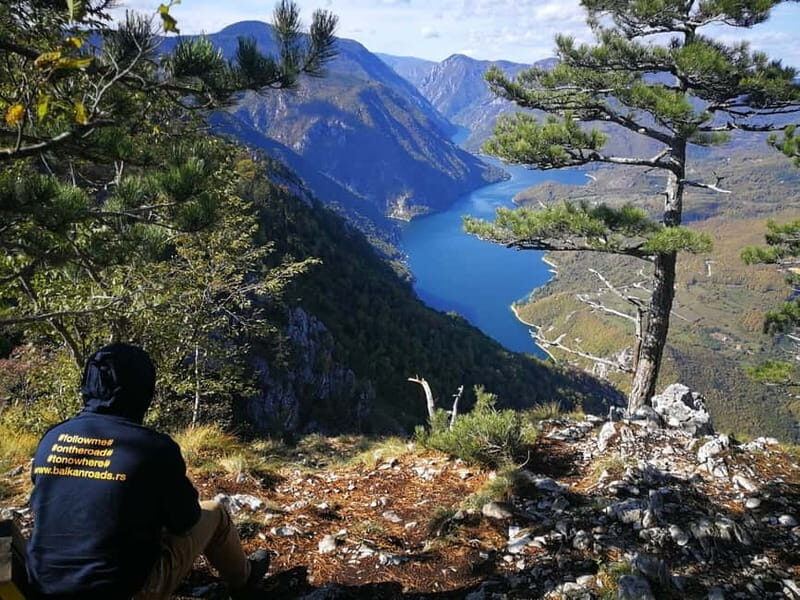 From Belgrade: Tara NP & Drina river & House on the Drina - An In-Depth Look at the Tour Experience