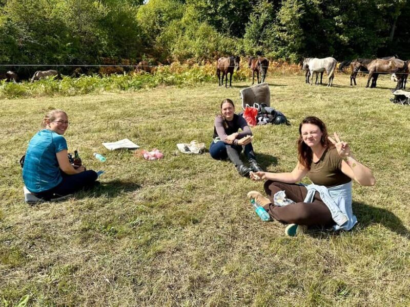 From Belgrade: Tara trail 6-Days Horseback Riding Adventures - Final Thoughts