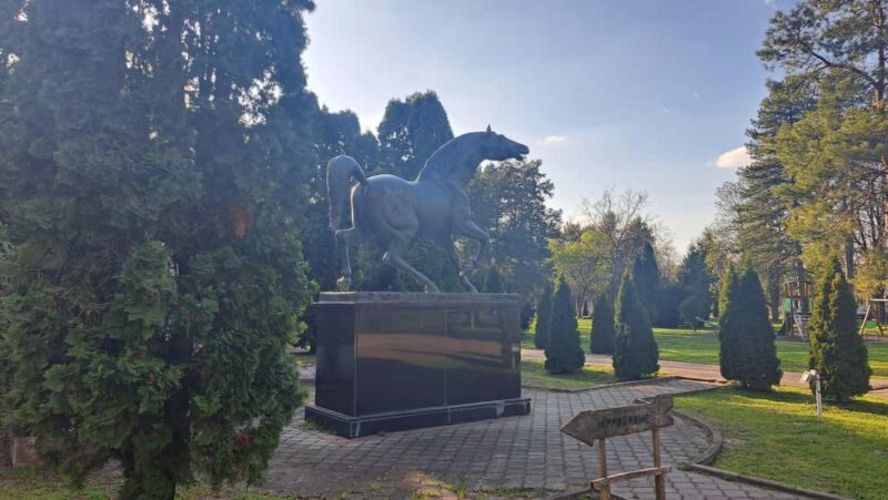 From Belgrade: Visit Subotica and stunning Zobnatica Stables - Who Is This Tour Best For?