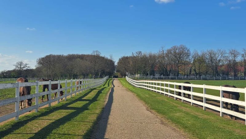 From Belgrade: Visit Subotica and stunning Zobnatica Stables - Frequently Asked Questions