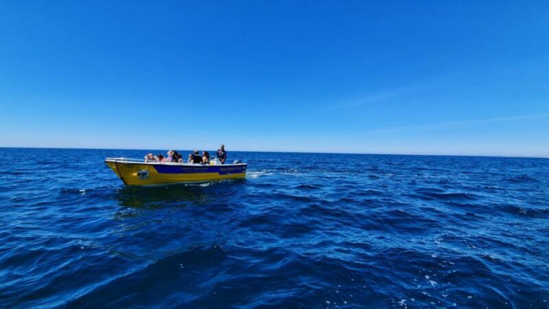 From Benagil: Benagil Cave & Marinha Beach Express Tour - Key Points