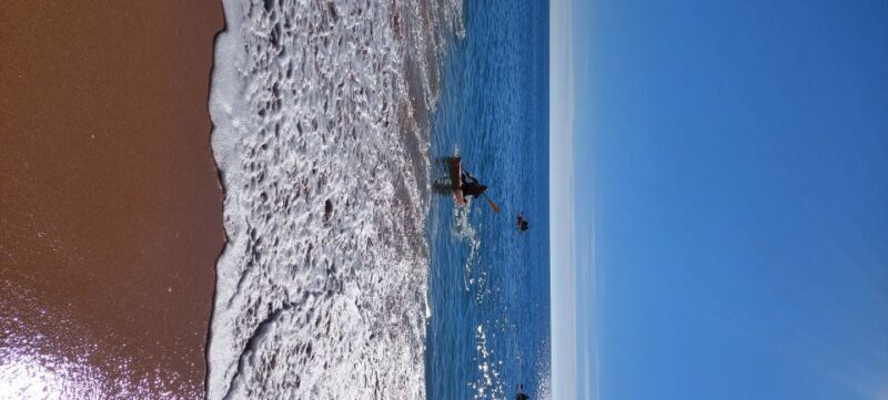 From Benagil: Benagil Caves Kayak Tour - Frequently Asked Questions