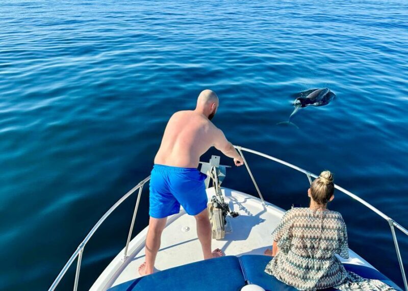 From Benalmádena & Torremolinos: Dolphin Watch Boat Trip - FAQ