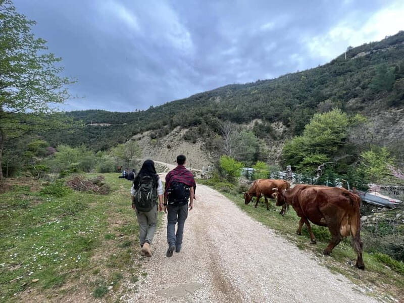 From Berat: Osumi Canyon and Bogova Waterfall tour. - An Honest Look at the Experience