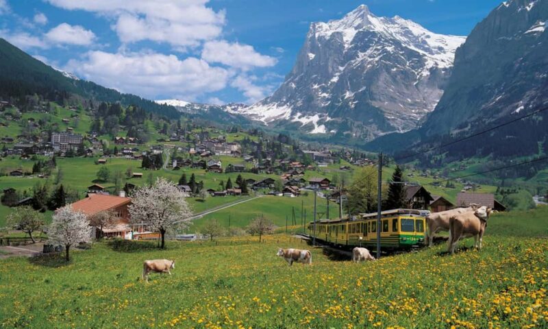From Bern: Swiss Alps, Lauterbrunnen, & Beatus Caves Tour - Final Thoughts