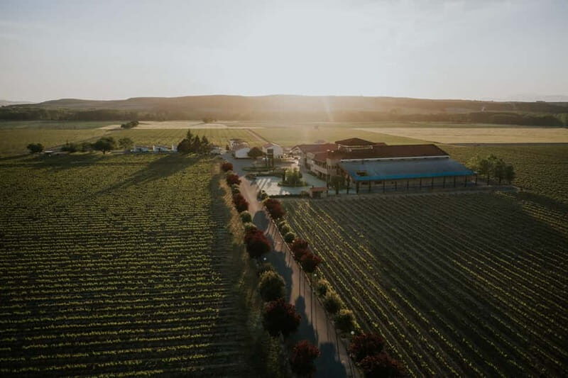 From Bilbao: La Rioja a journey to the vineyards & tradition - Exploring La Rioja: A Journey to the Vineyards & Traditions from Bilbao