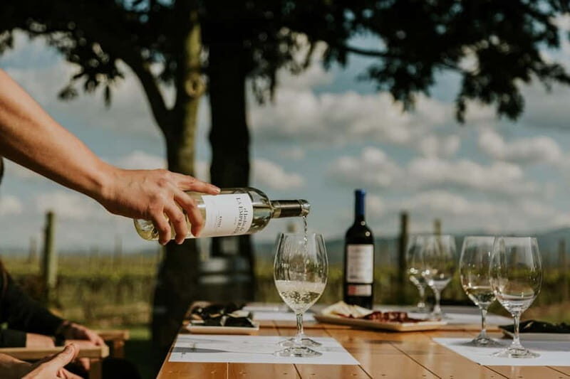 From Bilbao: La Rioja a journey to the vineyards & tradition - What to Expect on Your La Rioja Day Trip from Bilbao