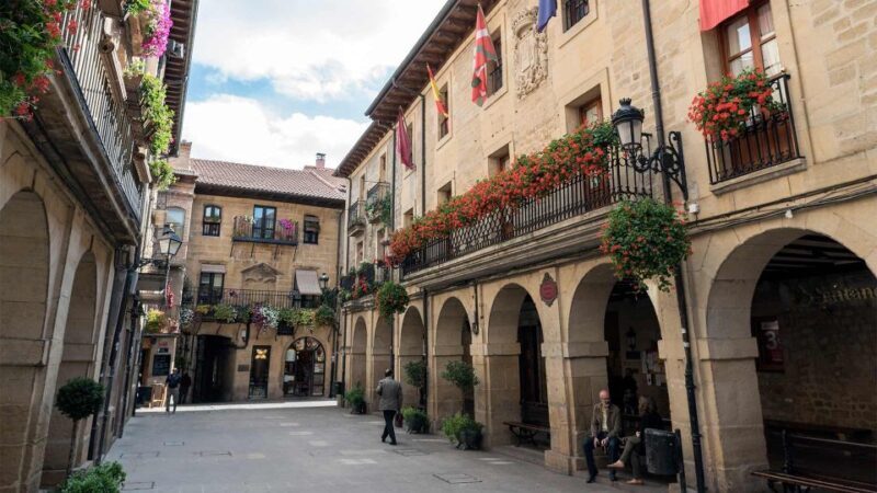From Bilbao: Rioja Wine Region with Winery & Vitoria-Gasteiz - Who Is This Tour Best Suited For?