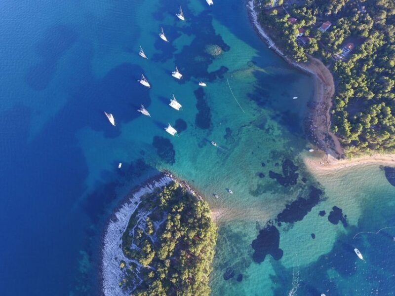 From Biograd: Golden Island of Vrgada Trip with Lunch - An Overview of the Vrgada Trip