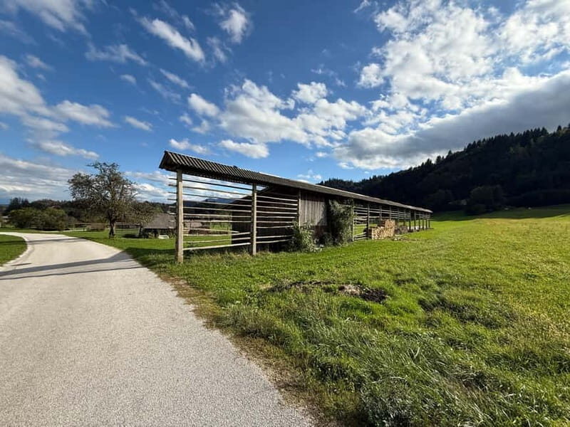 From Bled: Self Guided E-Bike Trip to Triglav National Park - From Bled: Self Guided E-Bike Trip to Triglav National Park — An Honest Look
