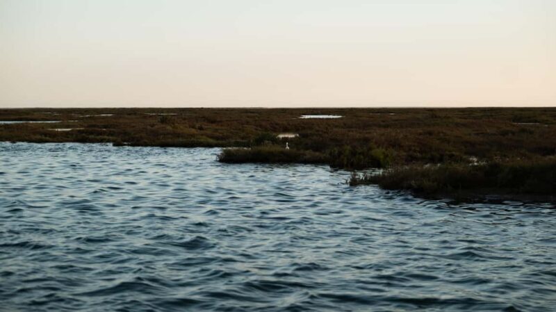 From Boat to Table: Ria Formosa Sunset and Tasting - The Sum Up