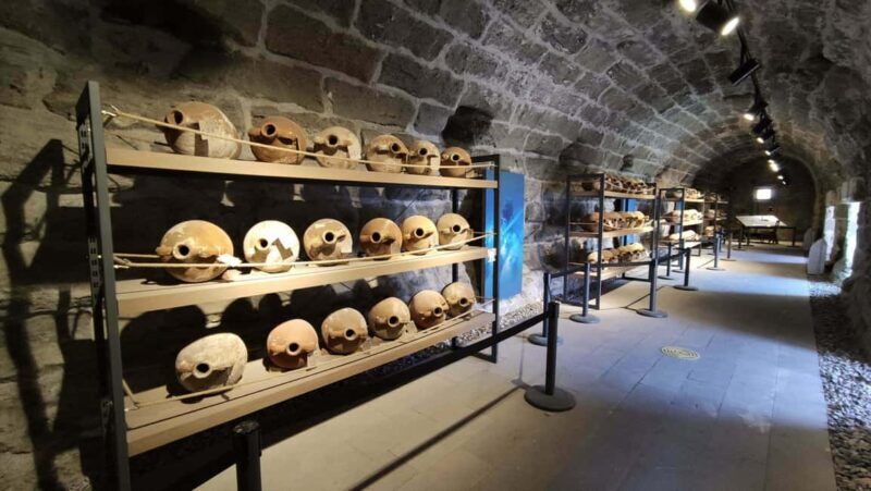 From Bodrum Port: Full-Day Tour with Castle and Mausoleum - Key Points