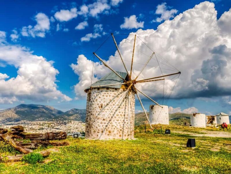 From Bodrum Port: Full-Day Tour with Castle and Mausoleum - Price and Value