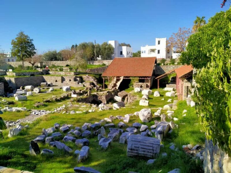 From Bodrum Port: Full-Day Tour with Castle and Mausoleum - Final Thoughts