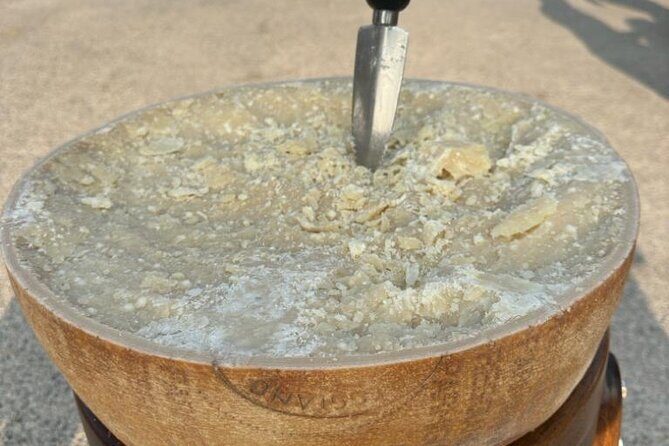 From Bologna: Parmesan Cheese & Balsamic Vinegar Tour+Lunch - Detailed Review of the Bologna Parmesan & Balsamic Tour